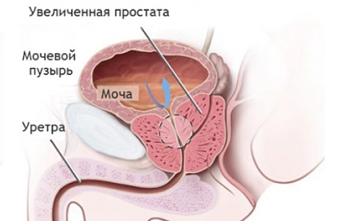 Вы точно человек?